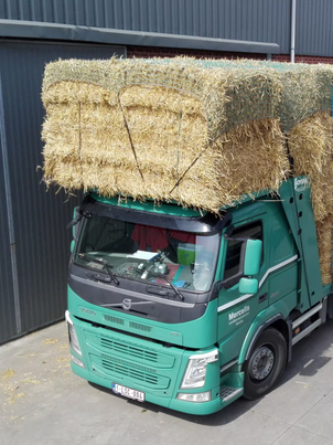 Vrachtwagen